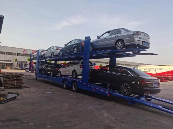 中亚五国欧式风格轿运车笼车
