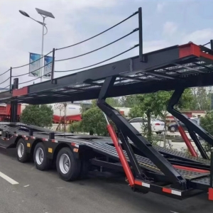 中亚五国欧式风格轿运车笼车