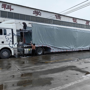 中亚五国欧式风格轿运车笼车