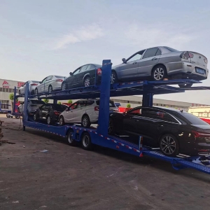 中亚五国欧式风格轿运车笼车
