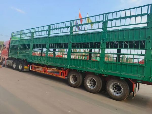畜牧运输半挂车